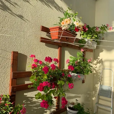 Apartment Sea Sunshine